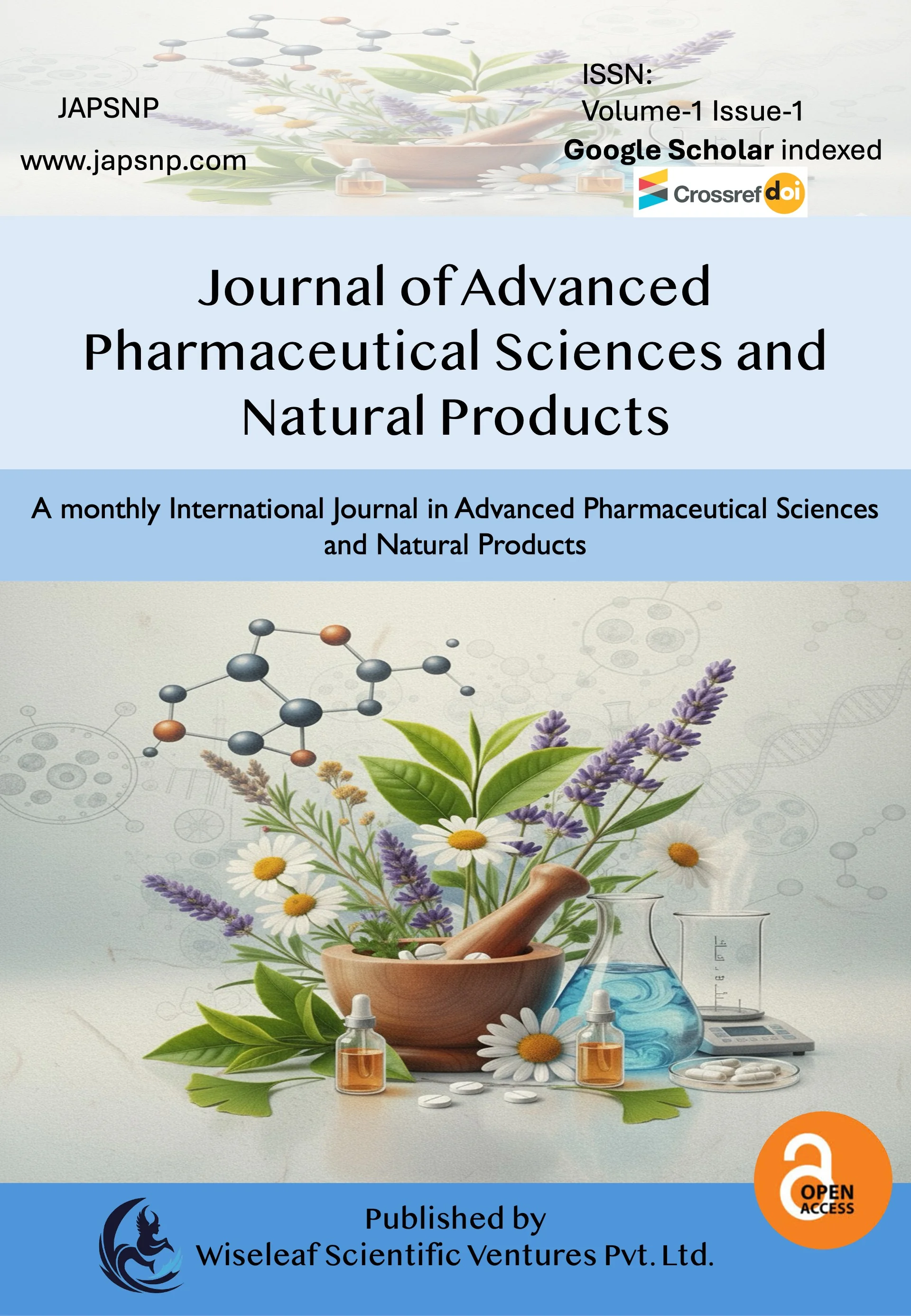 Current Issue - Vol. 1 No. 1 (2025)